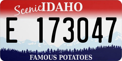 ID license plate E173047
