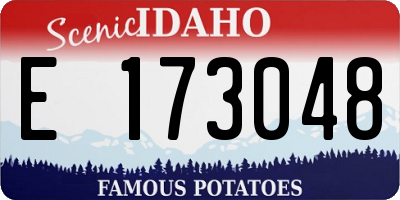 ID license plate E173048
