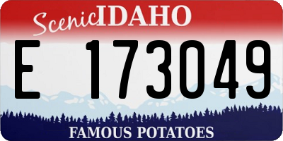 ID license plate E173049