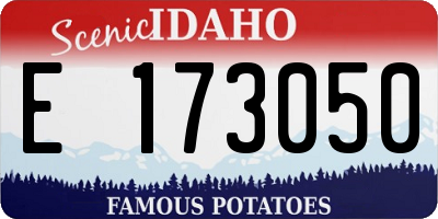 ID license plate E173050