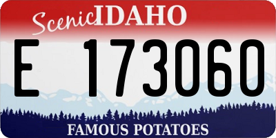 ID license plate E173060