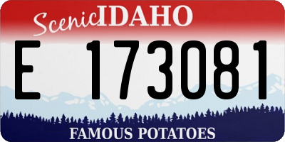 ID license plate E173081