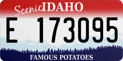 ID license plate E173095
