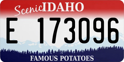 ID license plate E173096