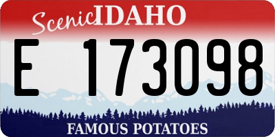 ID license plate E173098