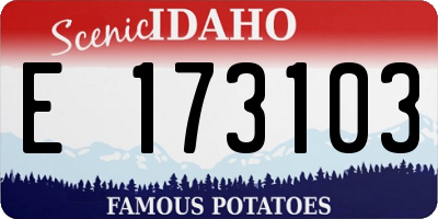 ID license plate E173103