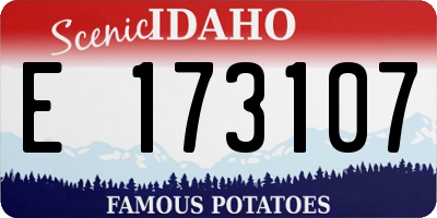 ID license plate E173107
