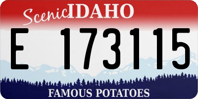 ID license plate E173115