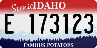 ID license plate E173123
