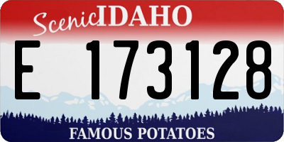 ID license plate E173128