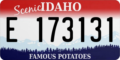 ID license plate E173131
