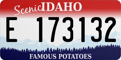 ID license plate E173132
