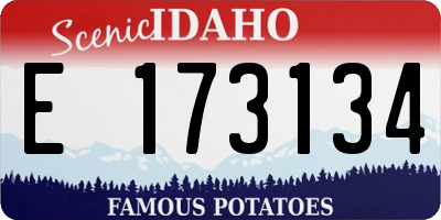 ID license plate E173134