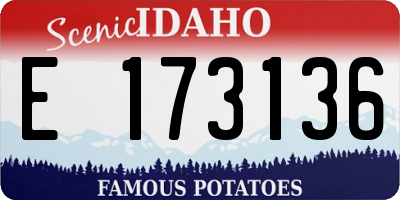 ID license plate E173136