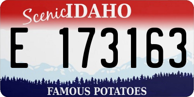 ID license plate E173163