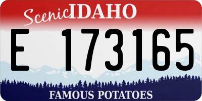 ID license plate E173165