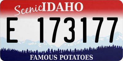 ID license plate E173177