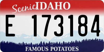 ID license plate E173184
