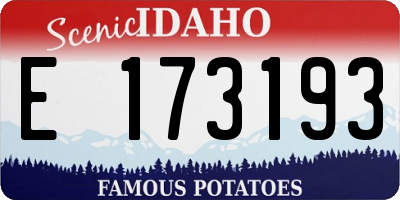 ID license plate E173193