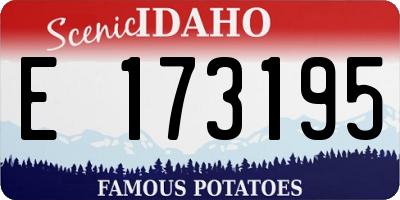 ID license plate E173195