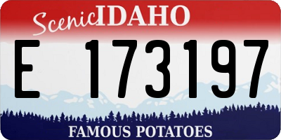 ID license plate E173197
