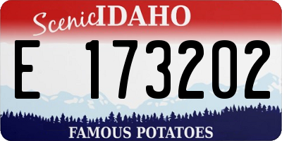 ID license plate E173202