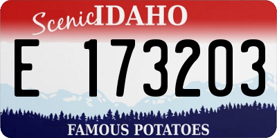 ID license plate E173203