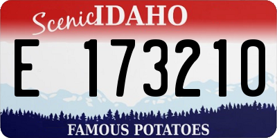 ID license plate E173210