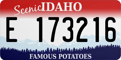 ID license plate E173216