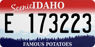 ID license plate E173223