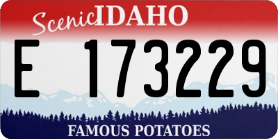 ID license plate E173229