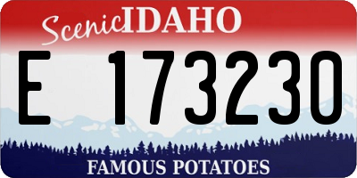 ID license plate E173230