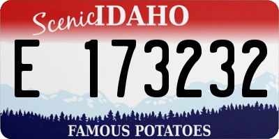 ID license plate E173232