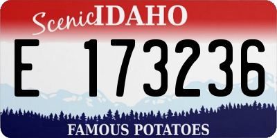 ID license plate E173236