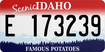 ID license plate E173239