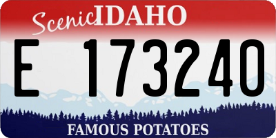 ID license plate E173240