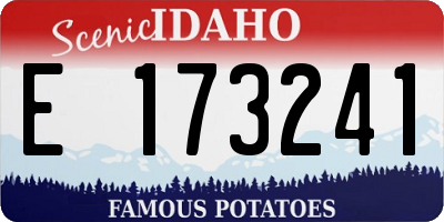 ID license plate E173241