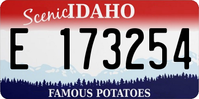 ID license plate E173254