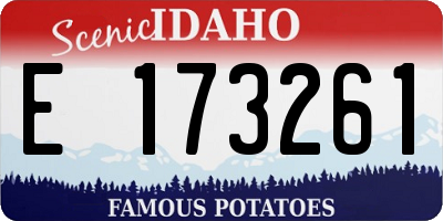 ID license plate E173261