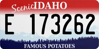 ID license plate E173262
