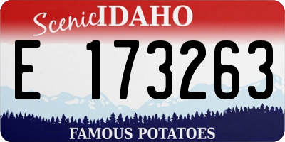 ID license plate E173263
