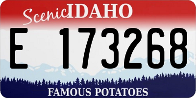 ID license plate E173268