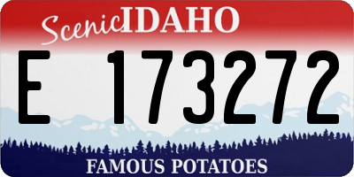 ID license plate E173272