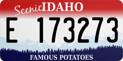 ID license plate E173273