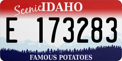 ID license plate E173283