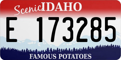 ID license plate E173285
