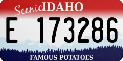 ID license plate E173286