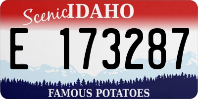 ID license plate E173287