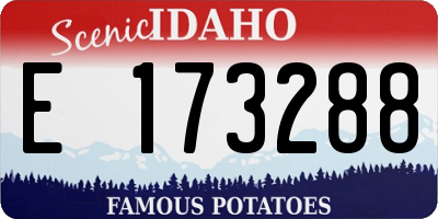 ID license plate E173288