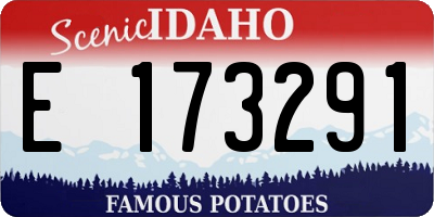 ID license plate E173291